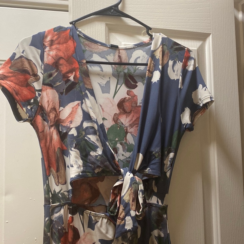 NWT Windsor day dress